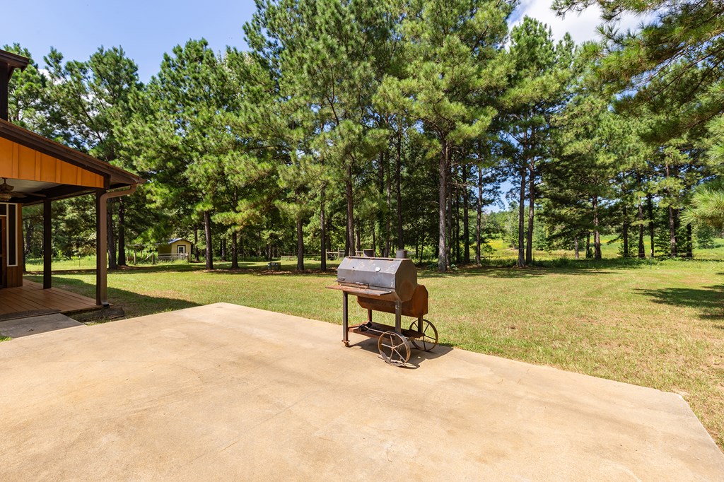 5848 Fm 1751 Property Photo 44