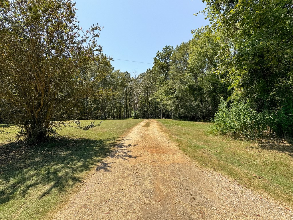 5848 Fm 1751 Property Photo 50