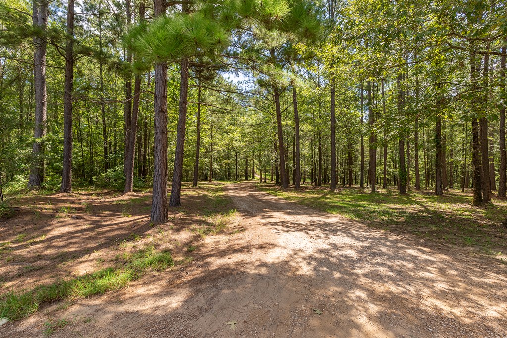 5848 Fm 1751 Property Photo 51