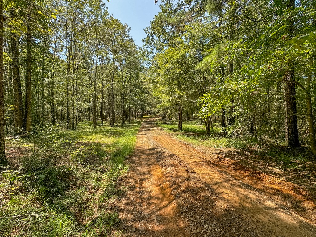 5848 Fm 1751 Property Photo 52