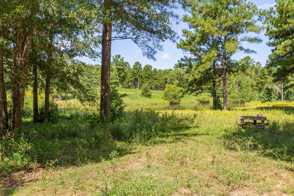 5848 Fm 1751 Property Photo 53