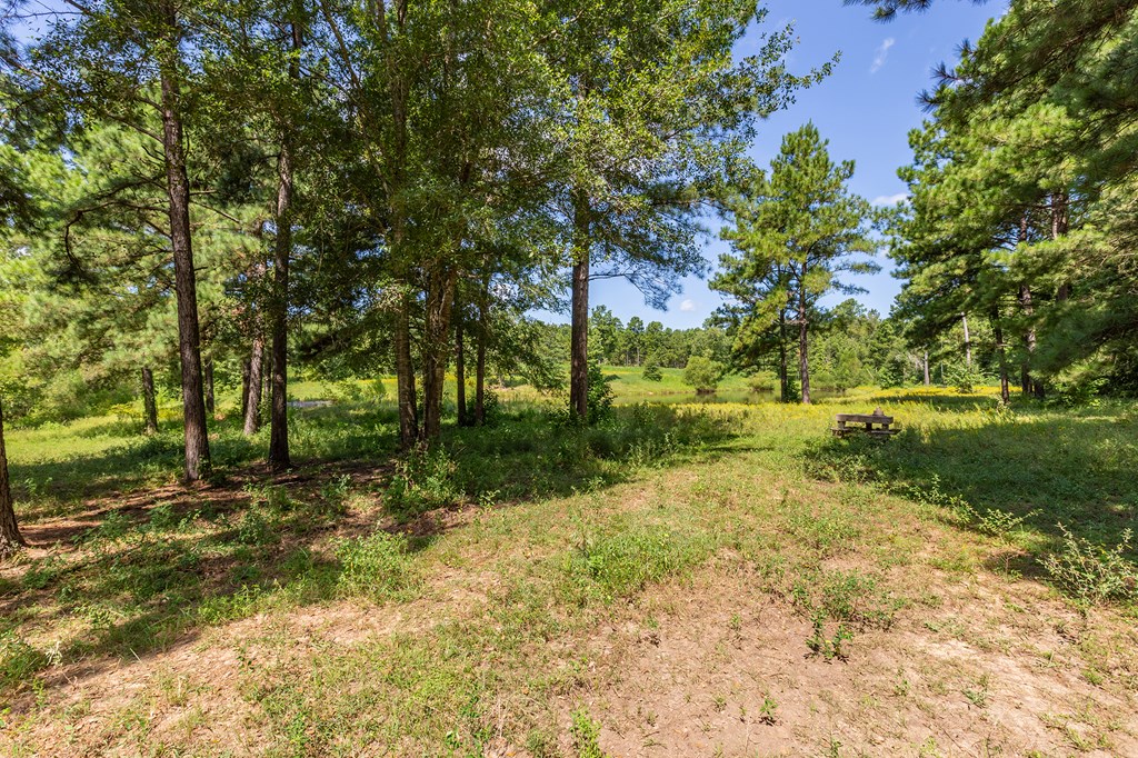5848 Fm 1751 Property Photo 54