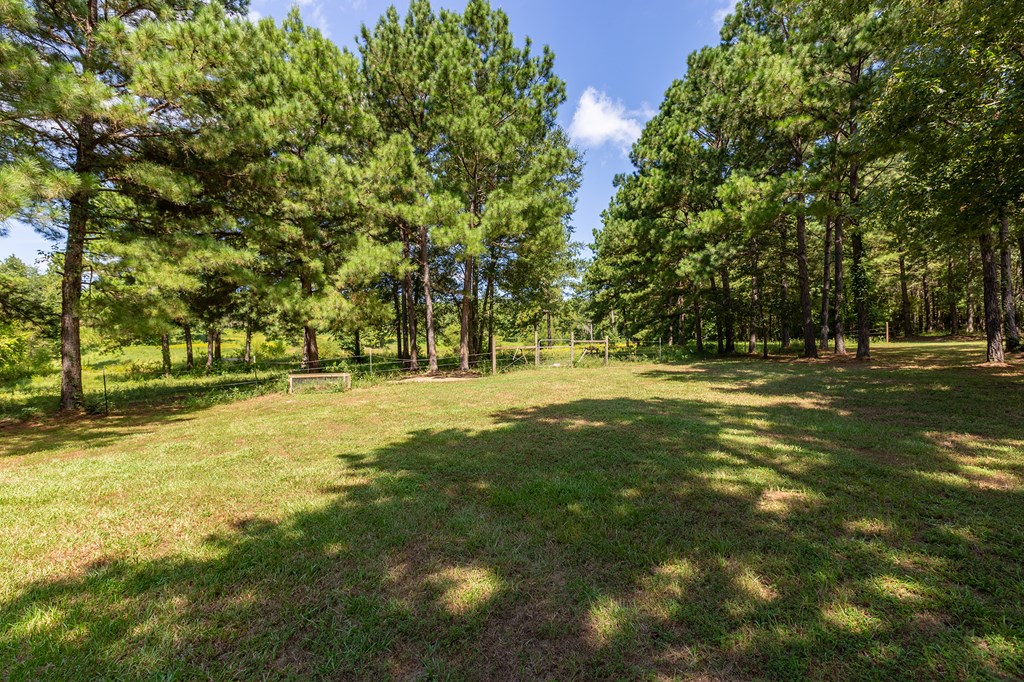 5848 Fm 1751 Property Photo 55