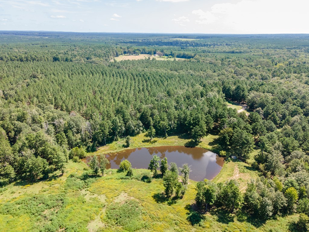 5848 Fm 1751 Property Photo 59