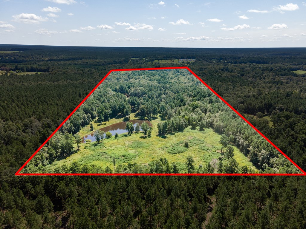 5848 Fm 1751 Property Photo 60
