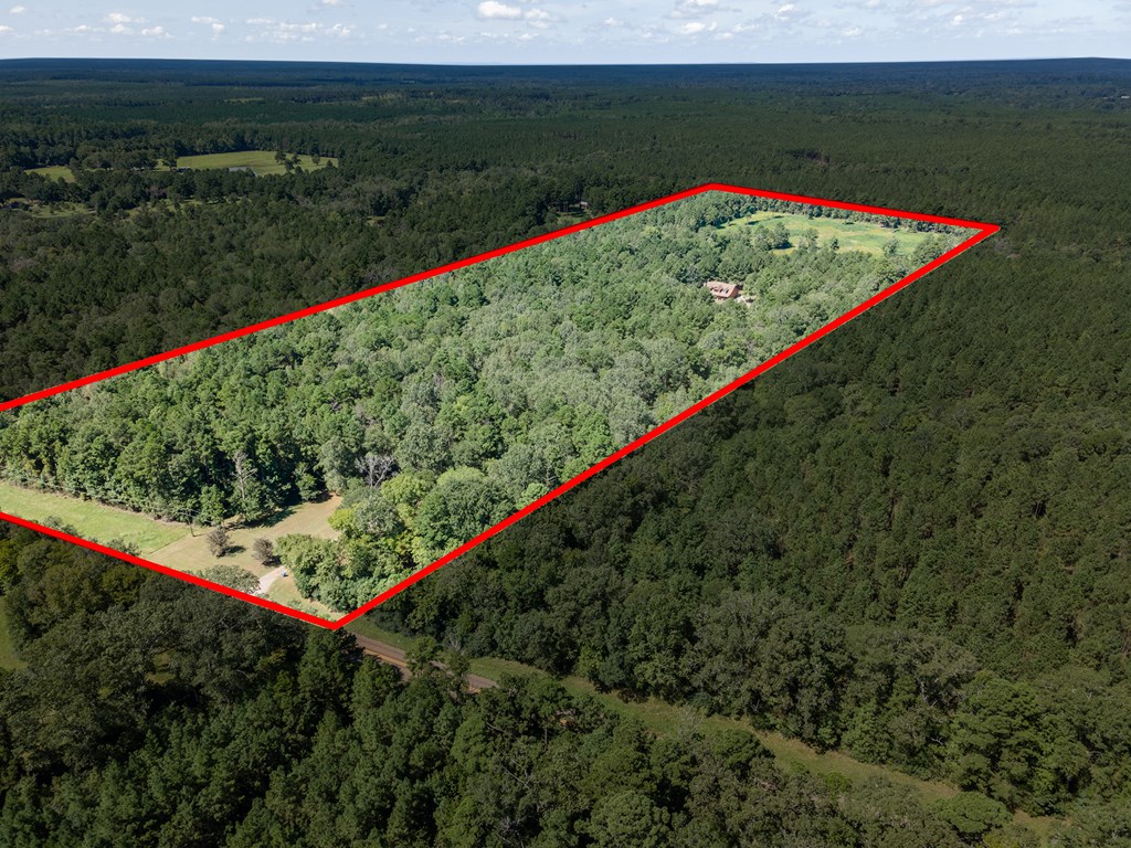 5848 Fm 1751 Property Photo 61