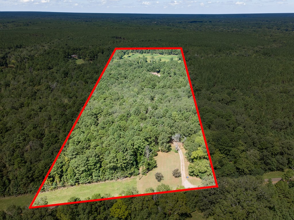 5848 Fm 1751 Property Photo 62