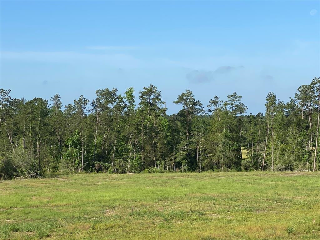 376254 County Road 3000 Property Photo 8