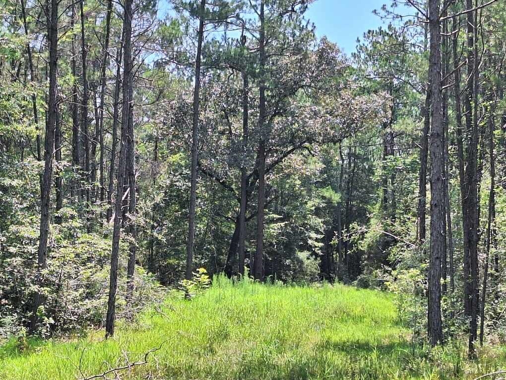 6801 Private Rd 8235 Property Photo 8