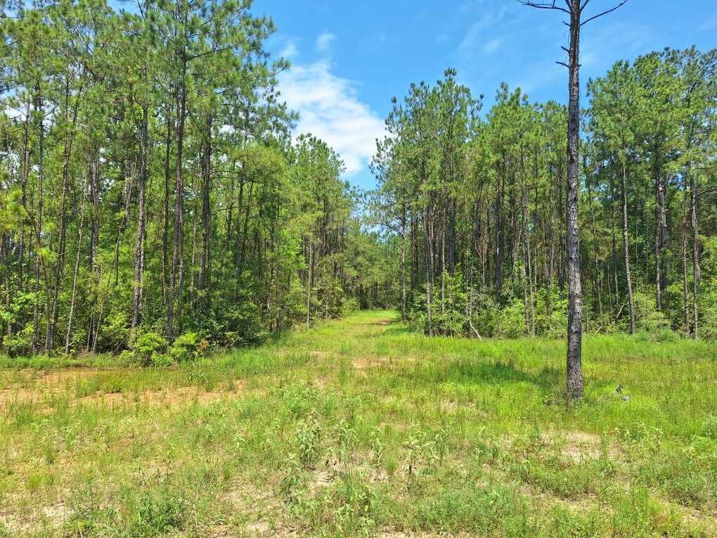 6801 Private Rd 8235 Property Photo 9