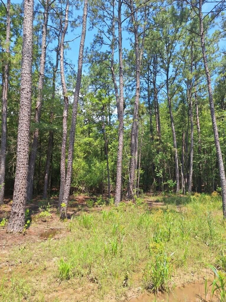 6801 Private Rd 8235 Property Photo 11