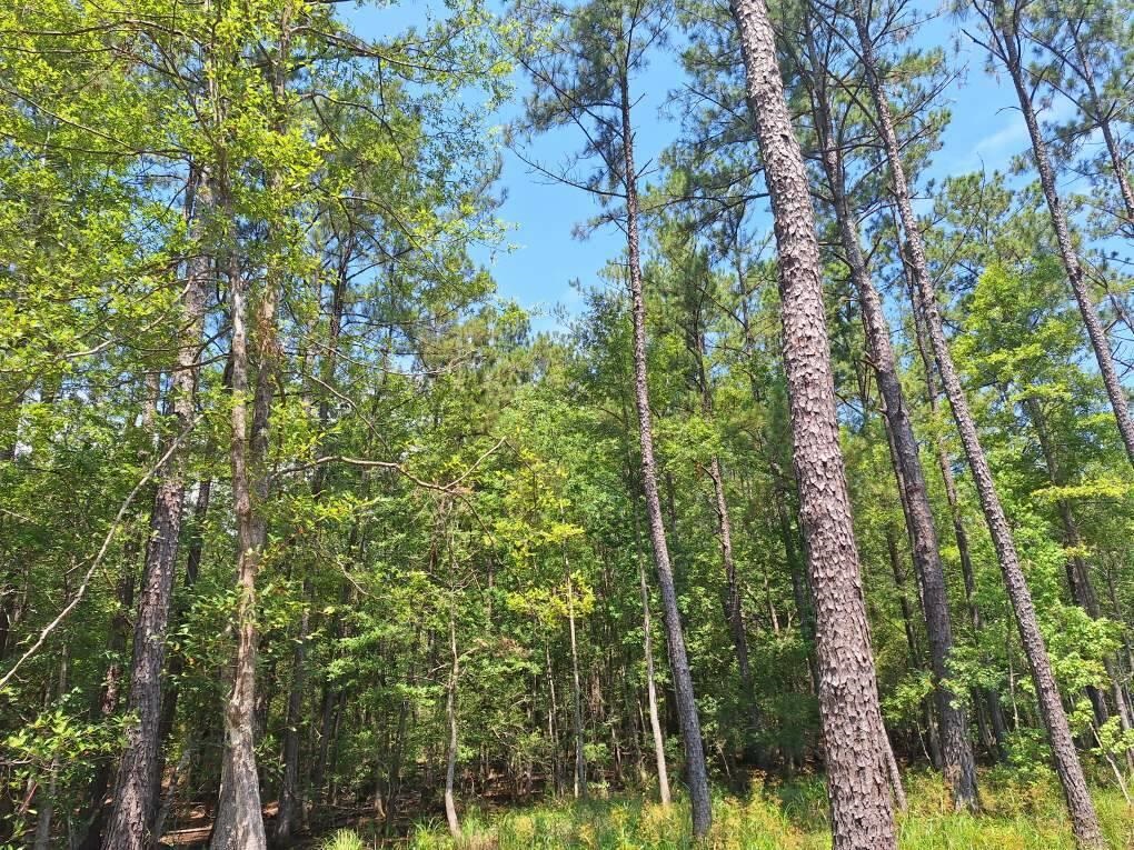 6801 Private Rd 8235 Property Photo 12