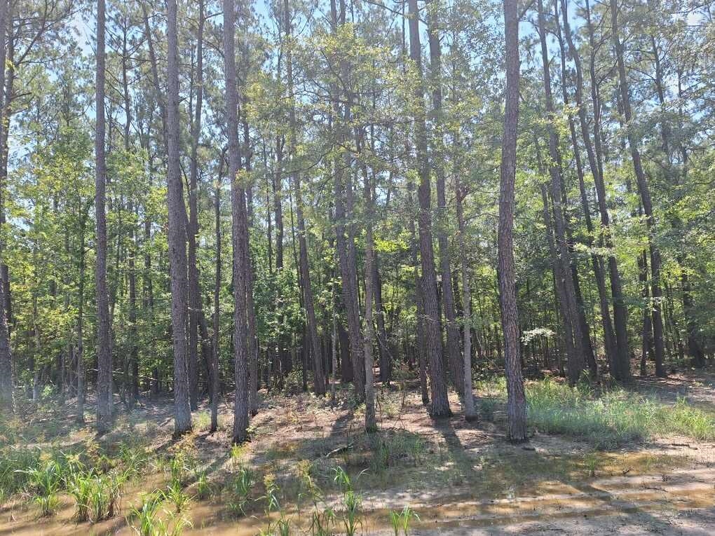 6801 Private Rd 8235 Property Photo 13