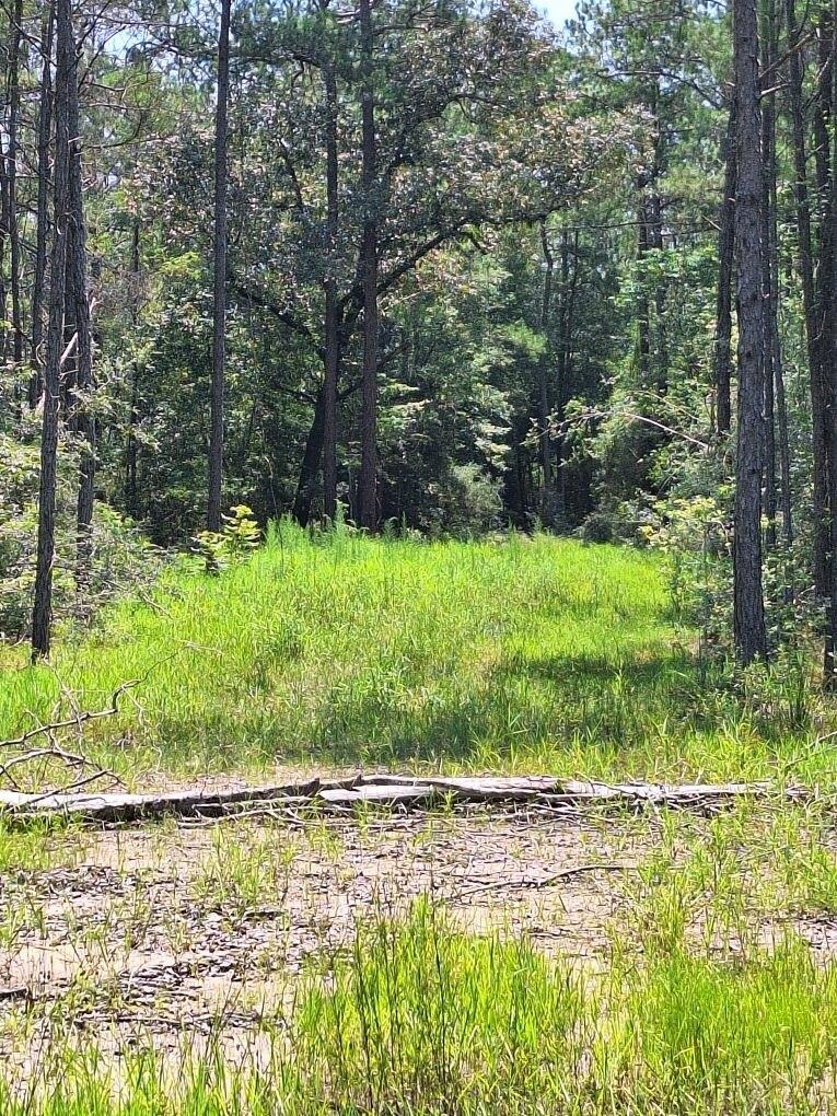 6801 Private Rd 8235 Property Photo 19