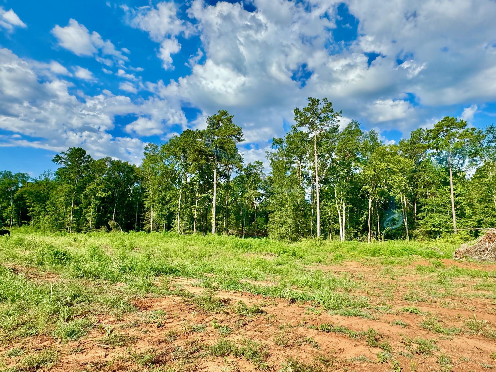 487 Old Tejas Trail West Property Photo 1