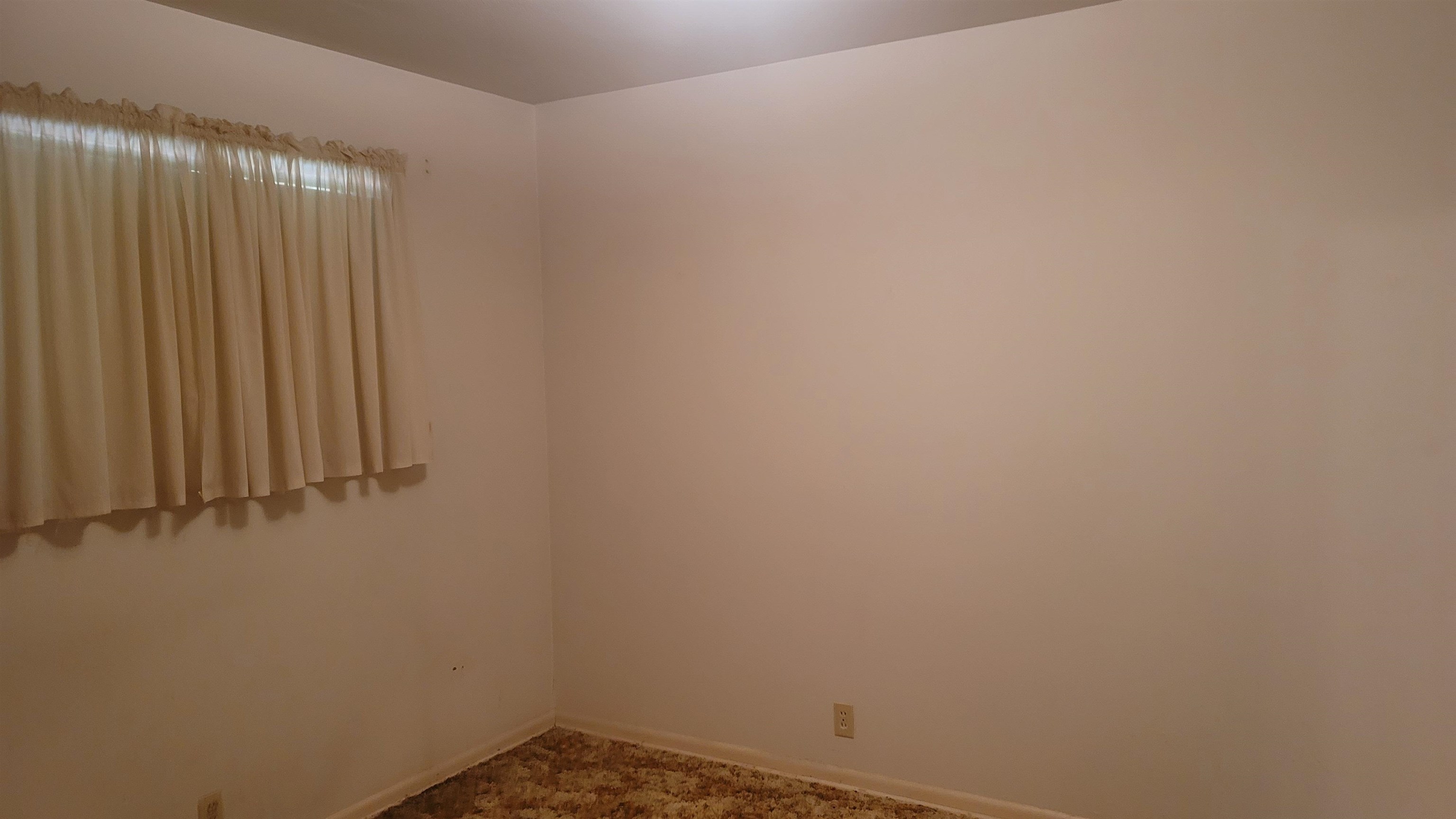 207 Verna Street Property Photo 9