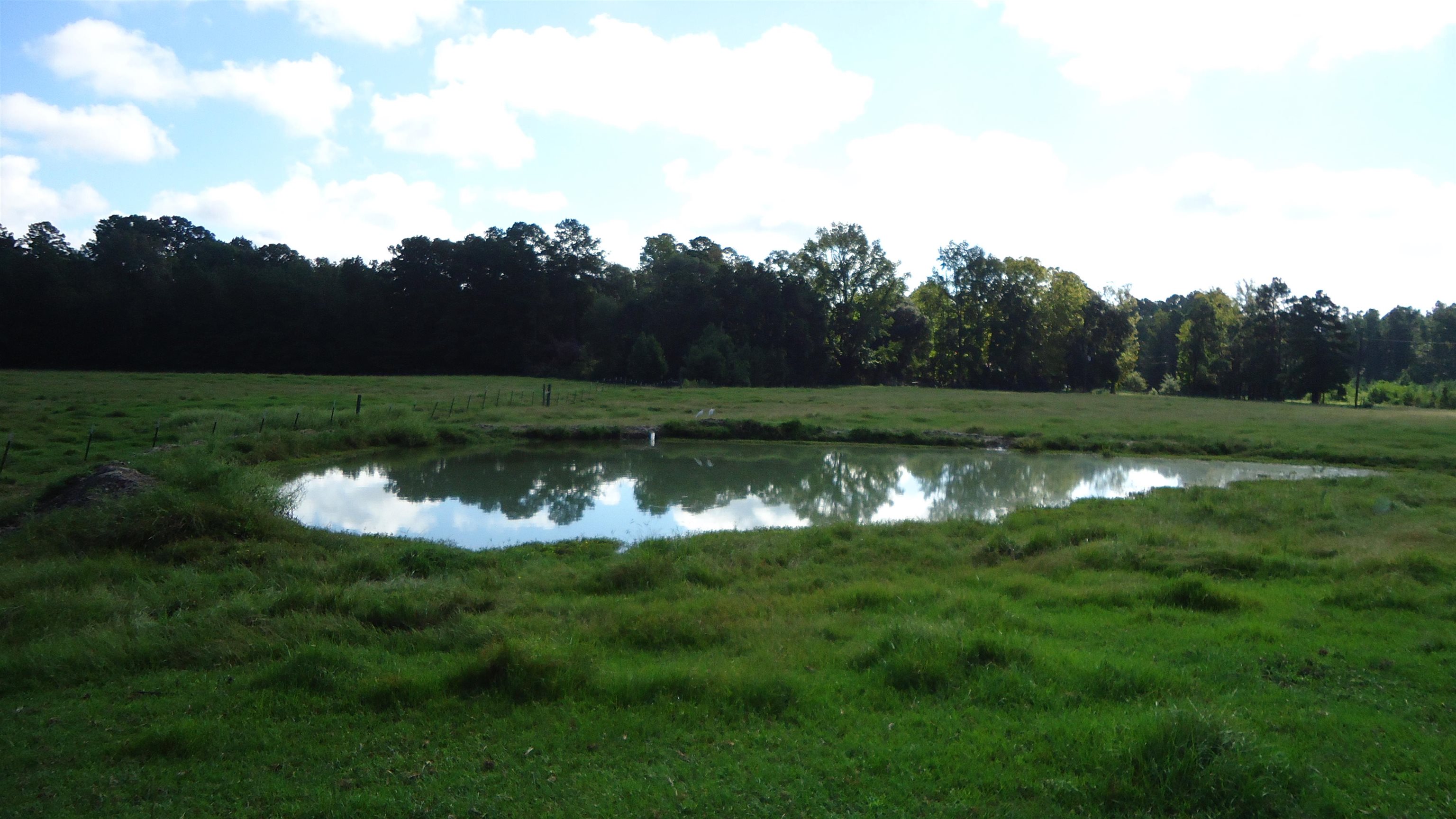 3334 Housen Hollow Property Photo 6