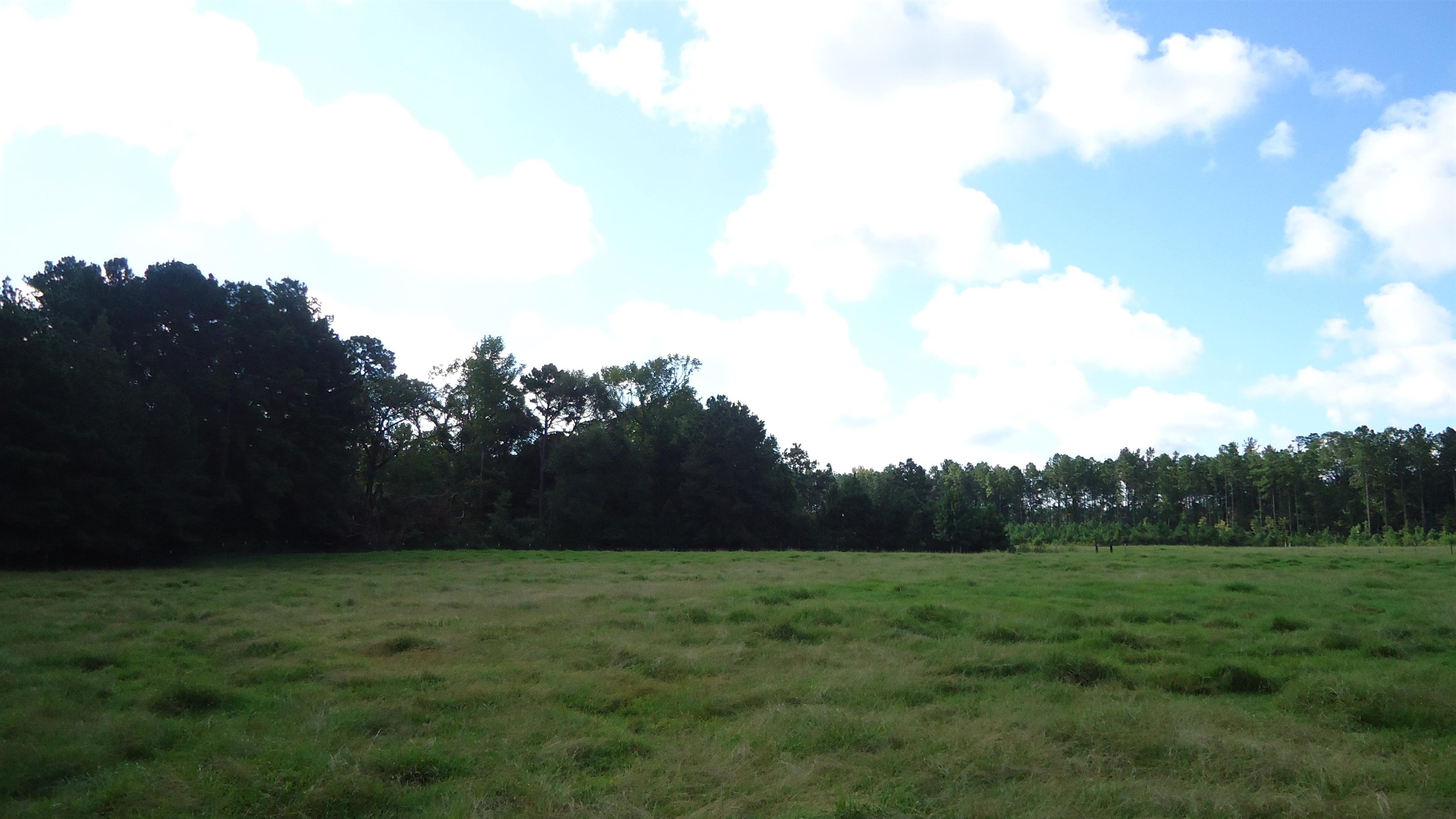 3334 Housen Hollow Property Photo 9