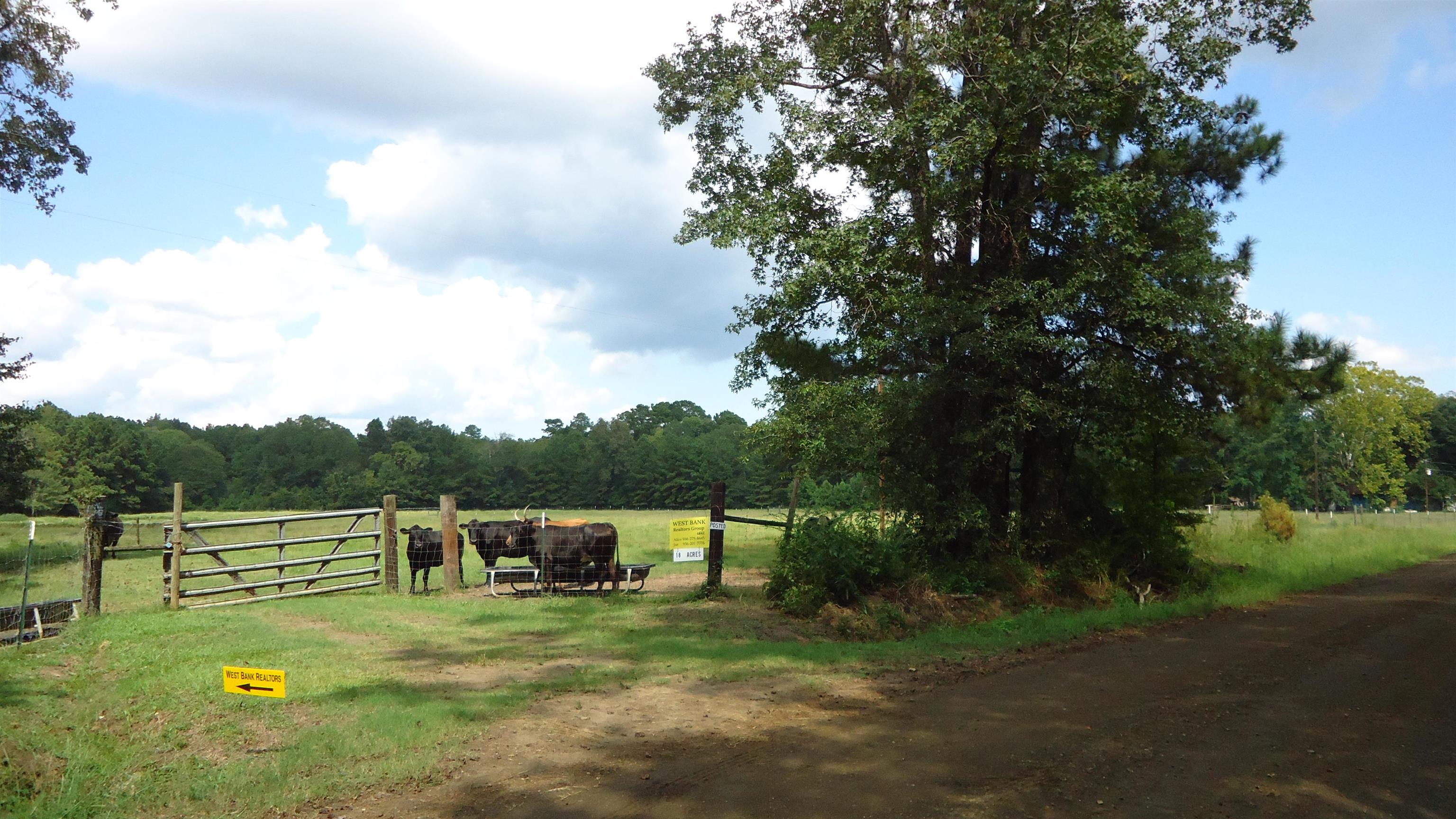 3334 Housen Hollow Property Photo 10