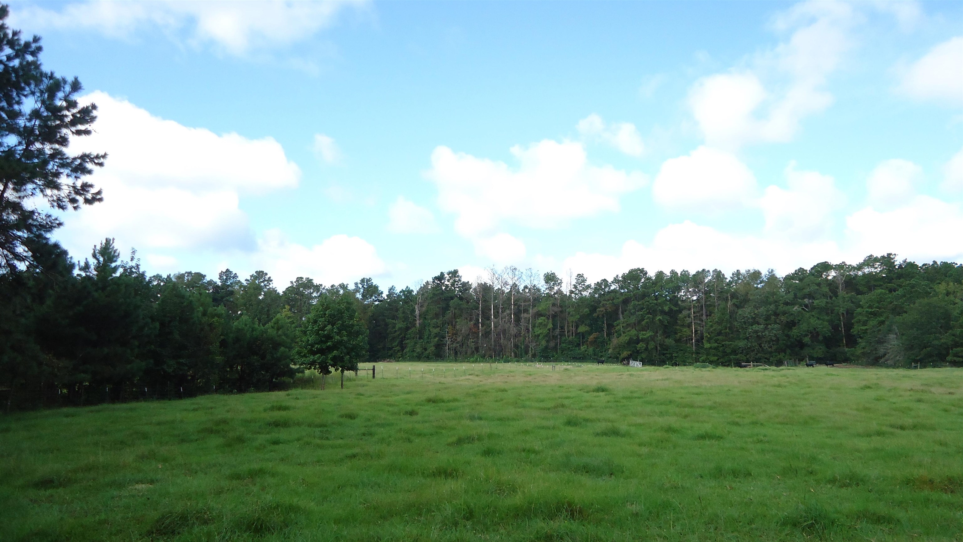 3334 Housen Hollow Property Photo 11