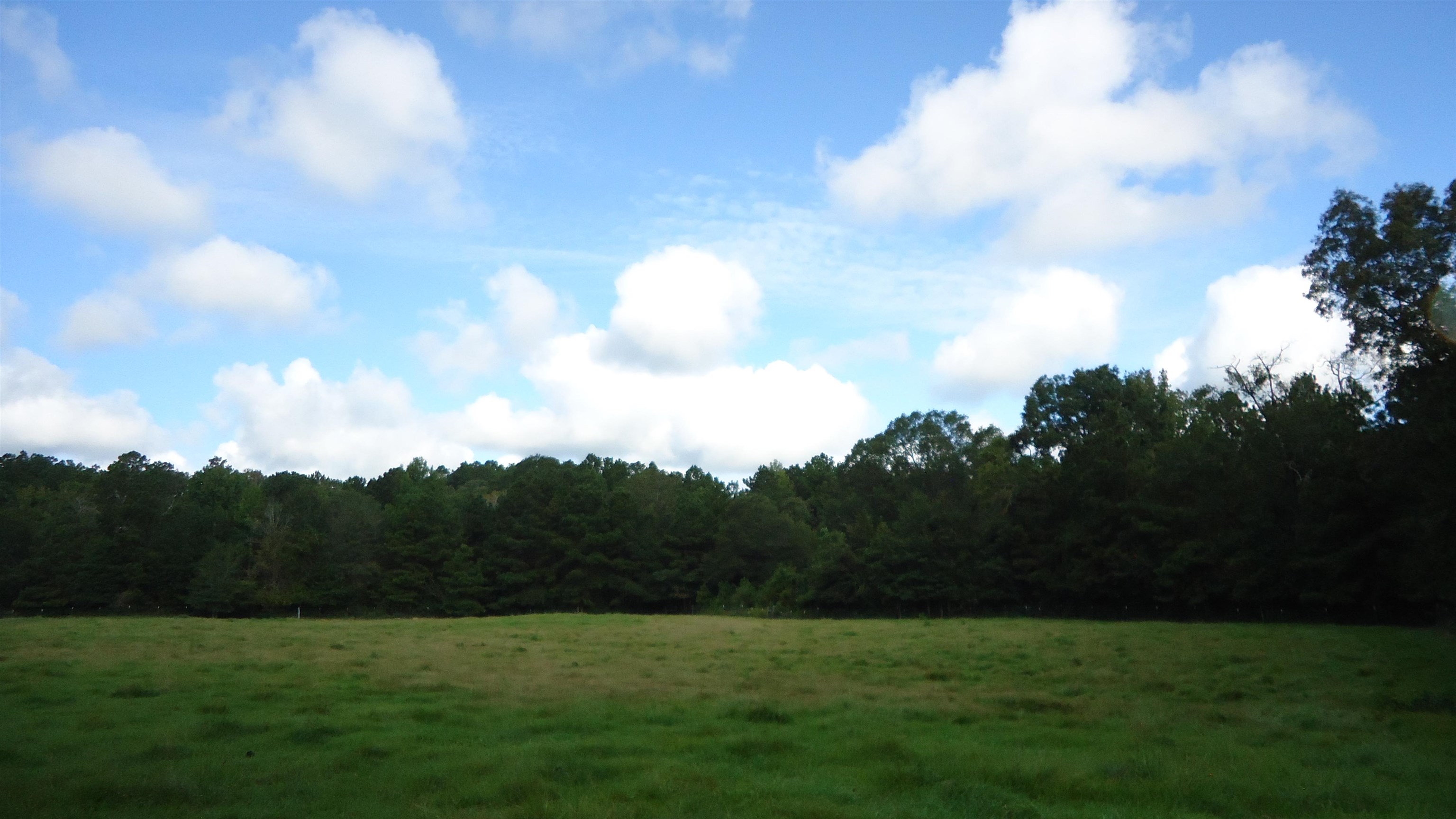 3334 Housen Hollow Property Photo 12