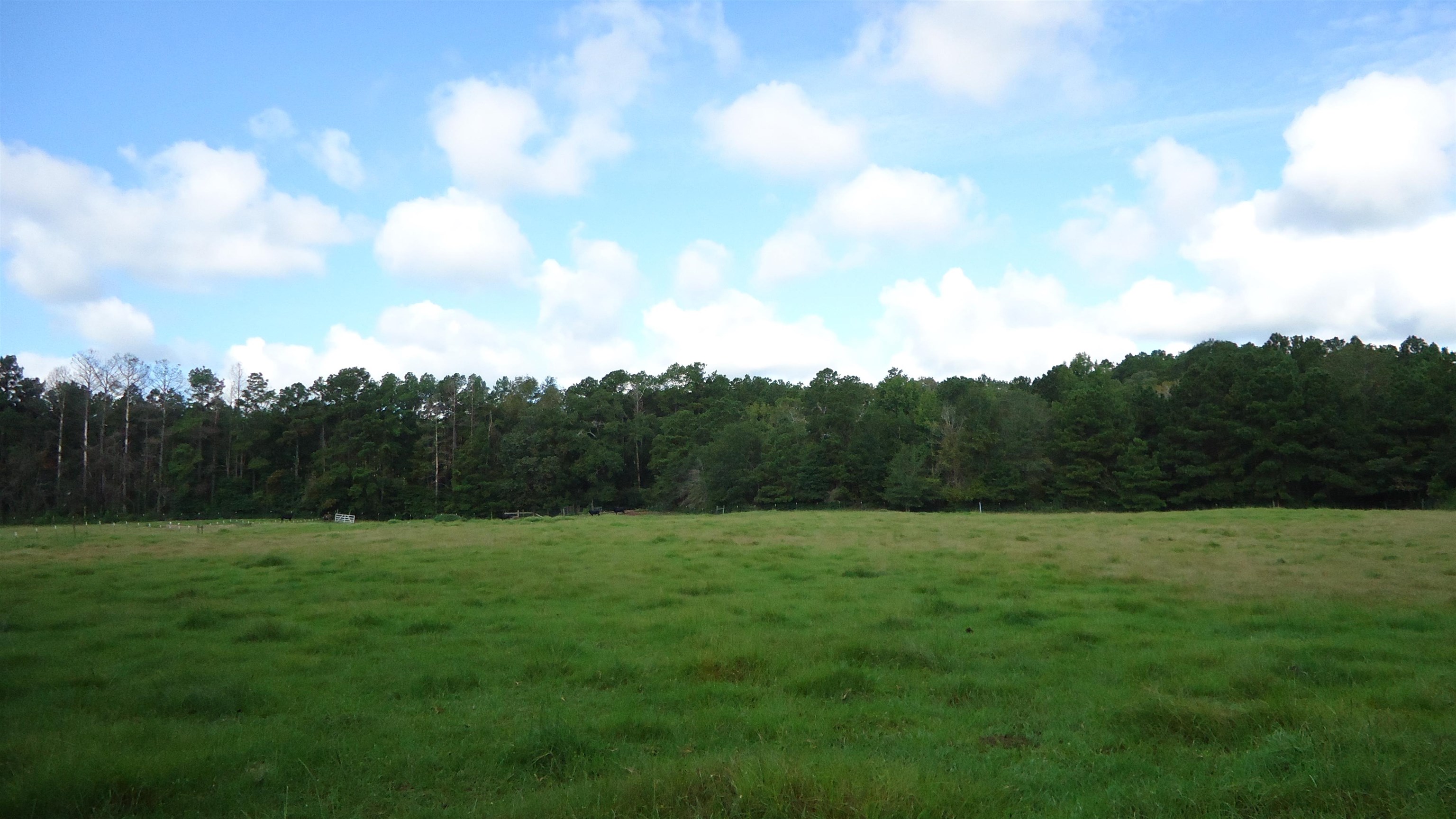 3334 Housen Hollow Property Photo 13