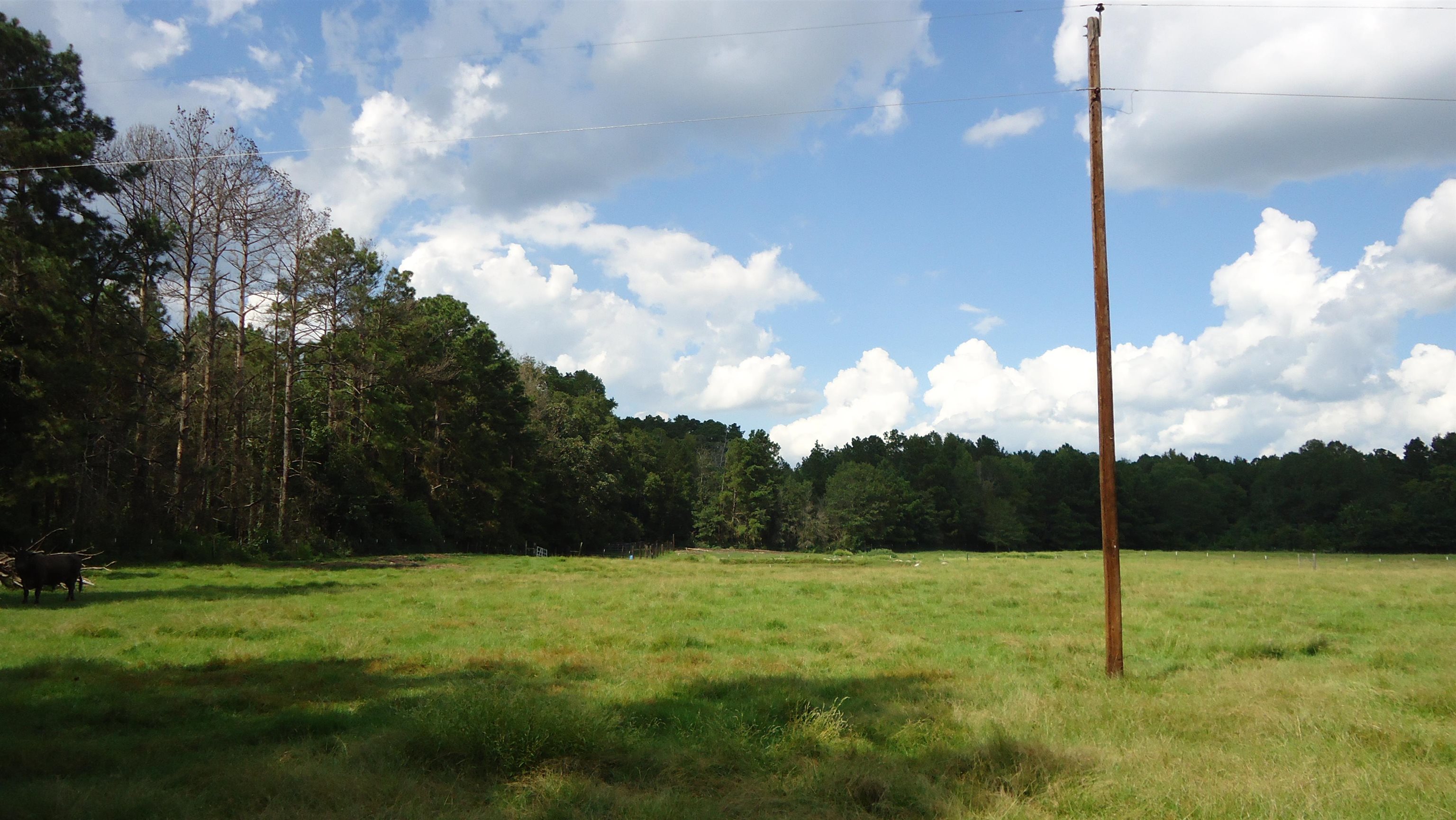 3334 Housen Hollow Property Photo 14