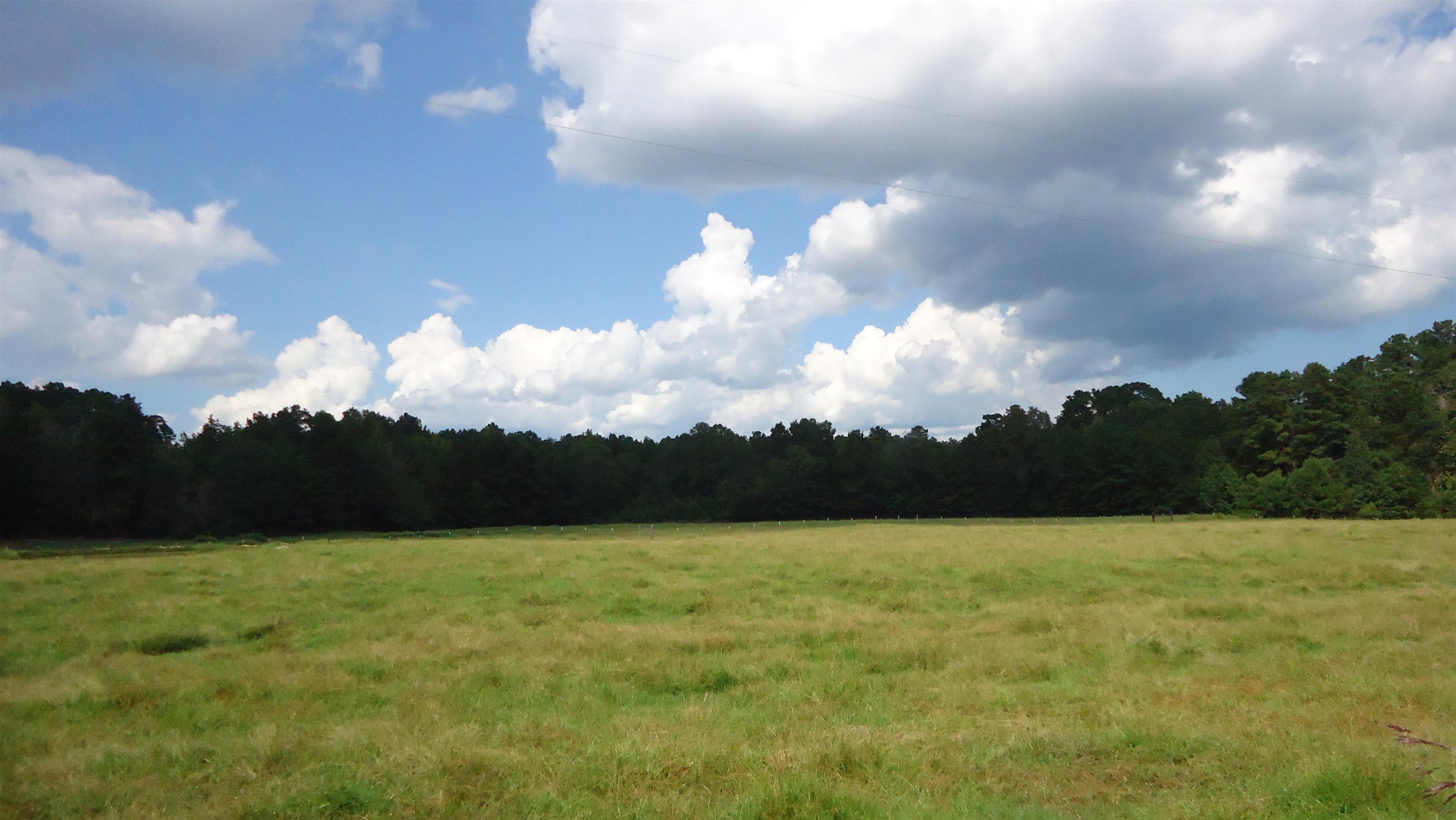 3334 Housen Hollow Property Photo 15