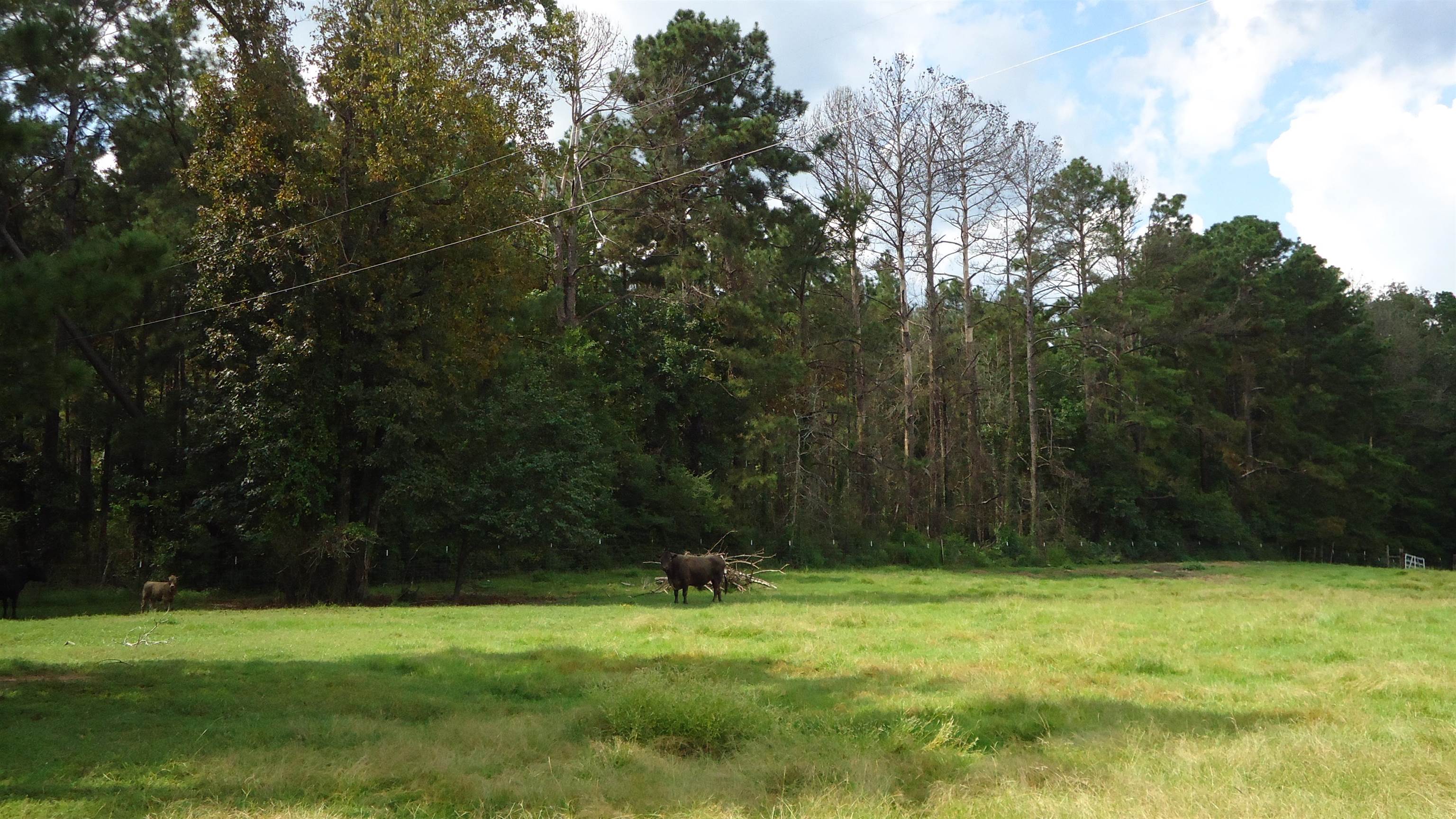 3334 Housen Hollow Property Photo 16