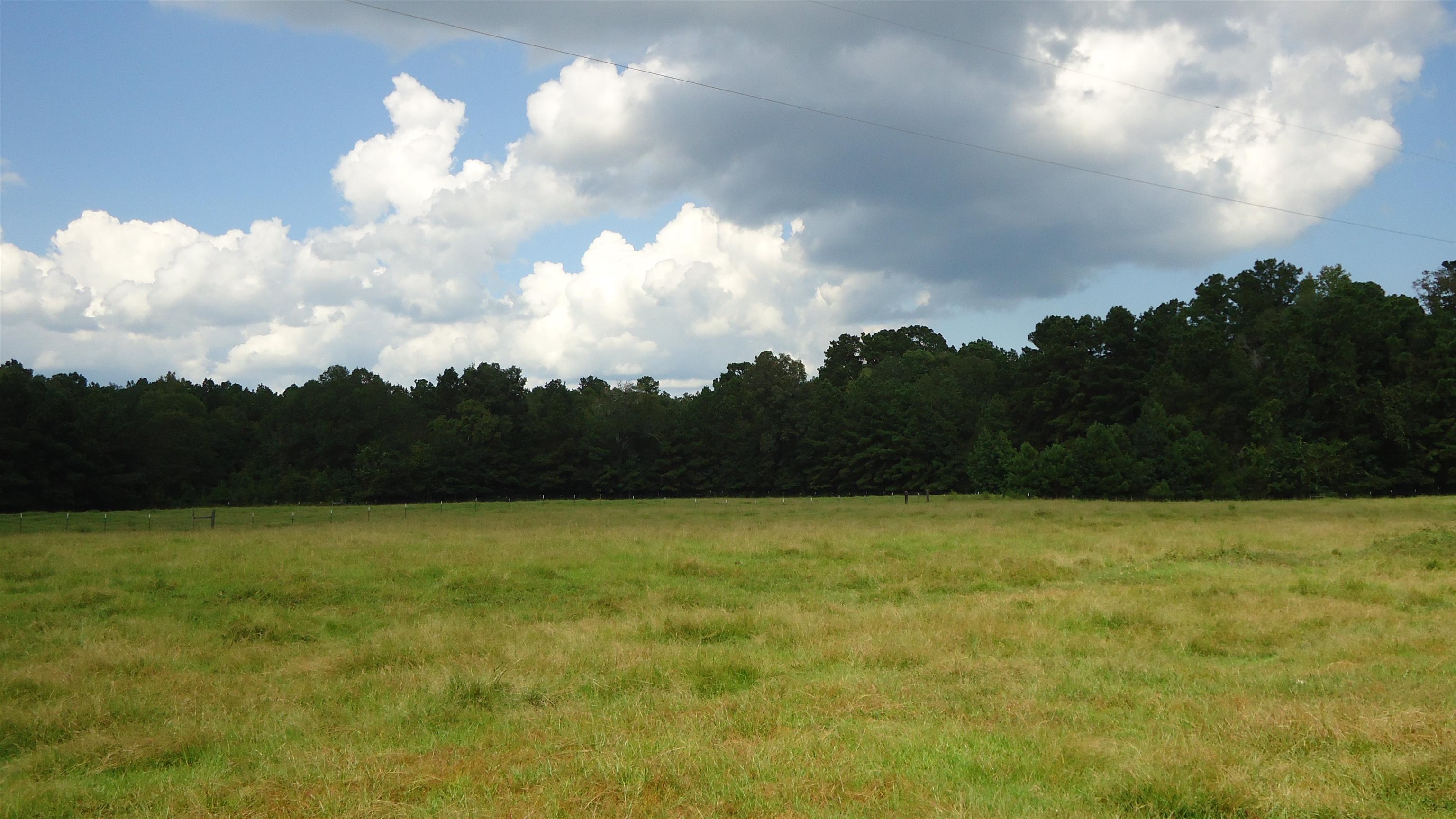 3334 Housen Hollow Property Photo 17