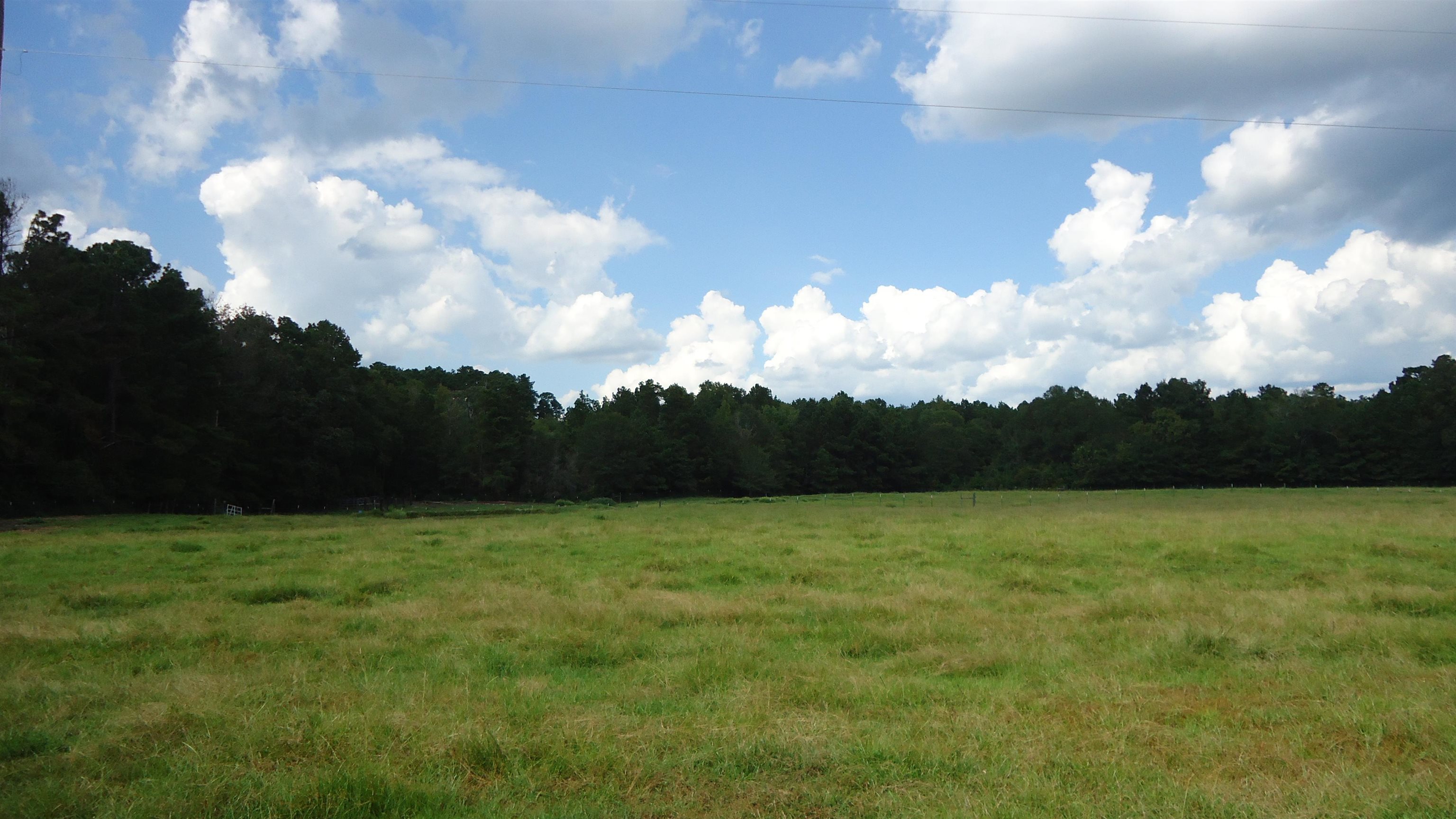 3334 Housen Hollow Property Photo 18