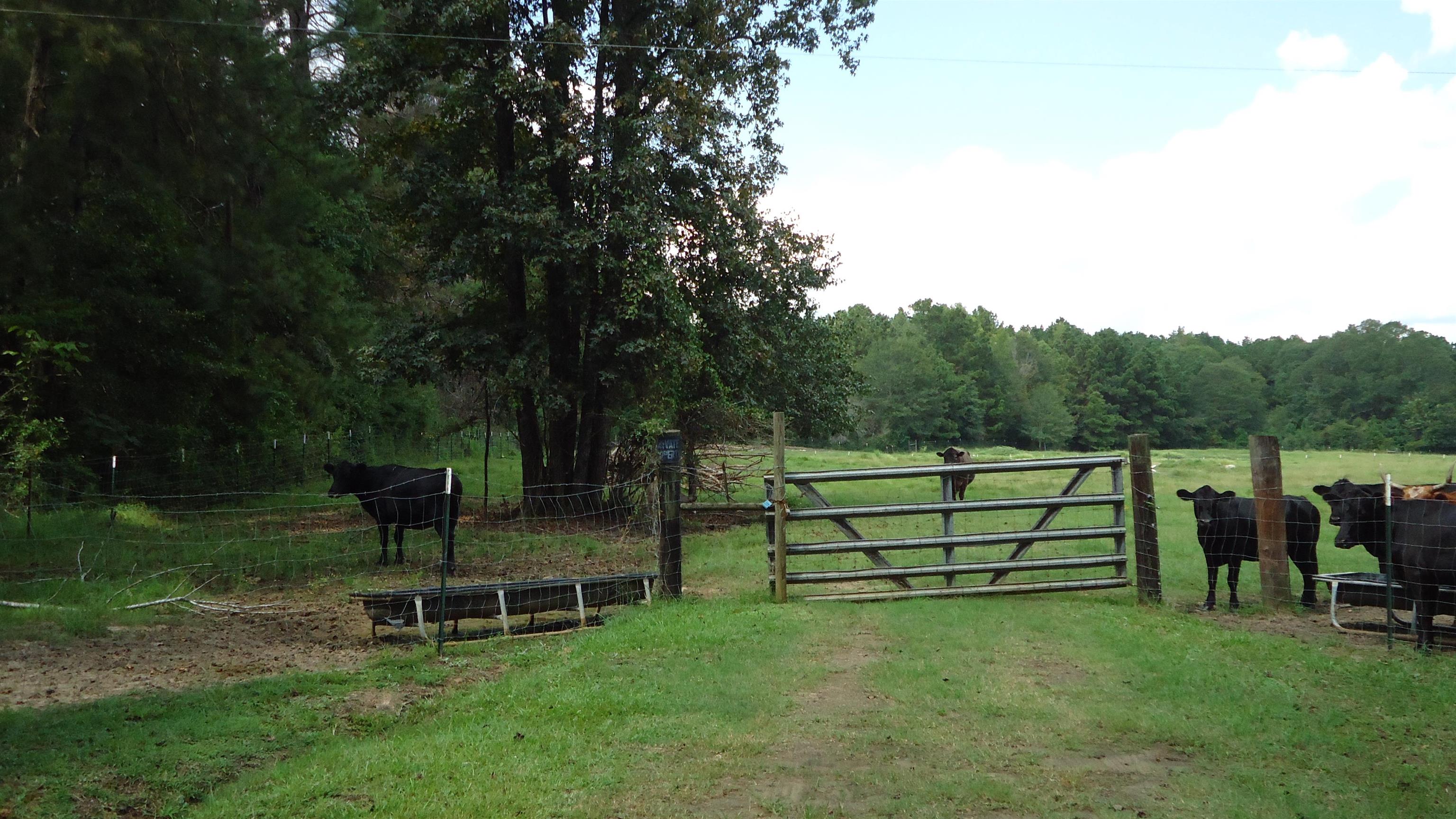 3334 Housen Hollow Property Photo 19