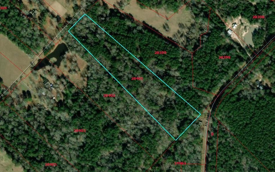 428 Luce Road Property Photo 1