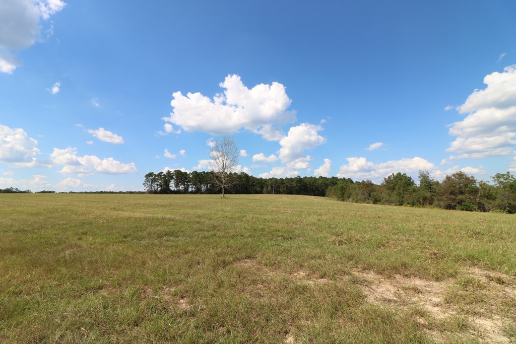1167 Co Rd 426 Property Photo 18