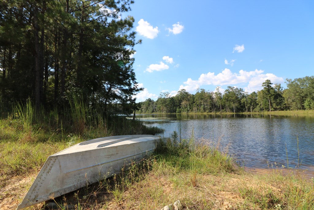 1167 Co Rd 426 Property Photo 19