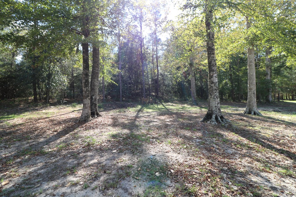 1167 Co Rd 426 Property Photo 21