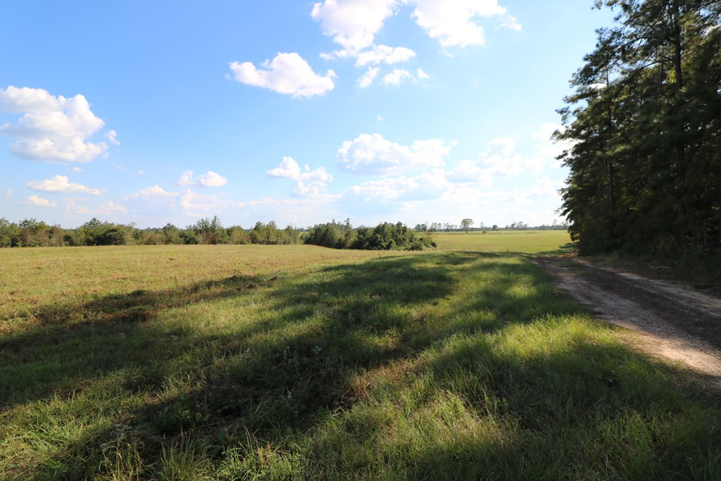 1167 Co Rd 426 Property Photo 25