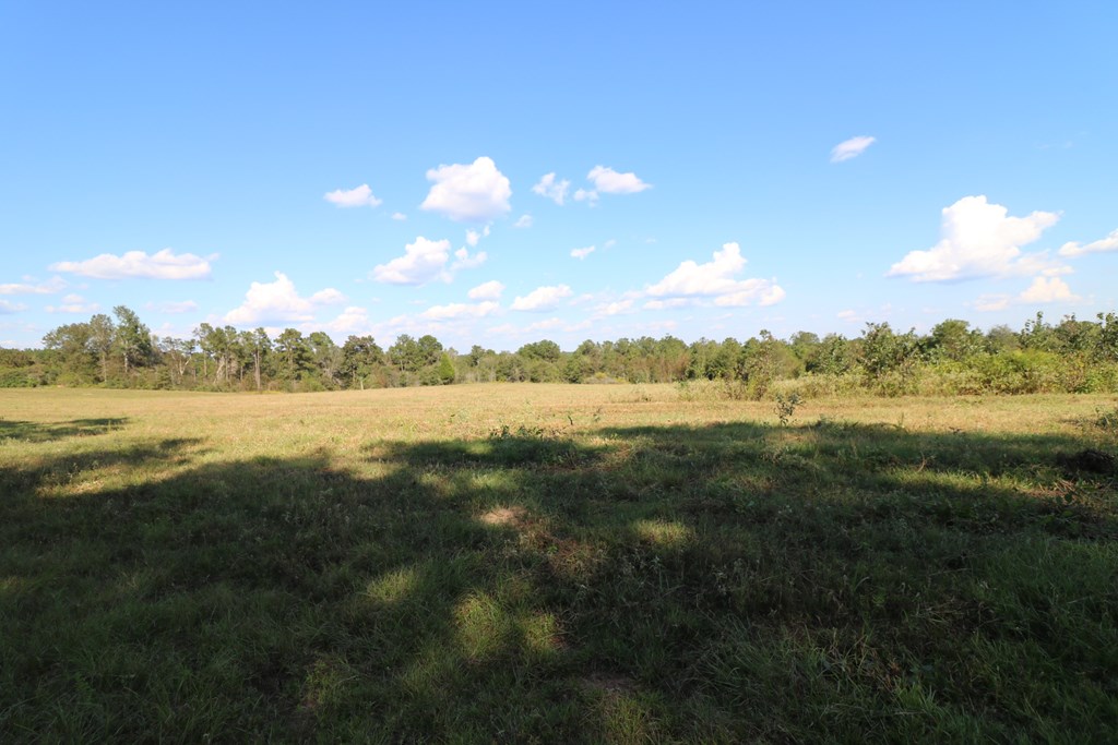 1167 Co Rd 426 Property Photo 29