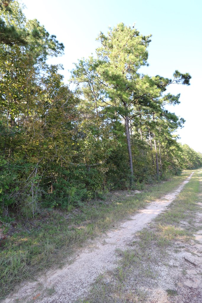 1167 Co Rd 426 Property Photo 30