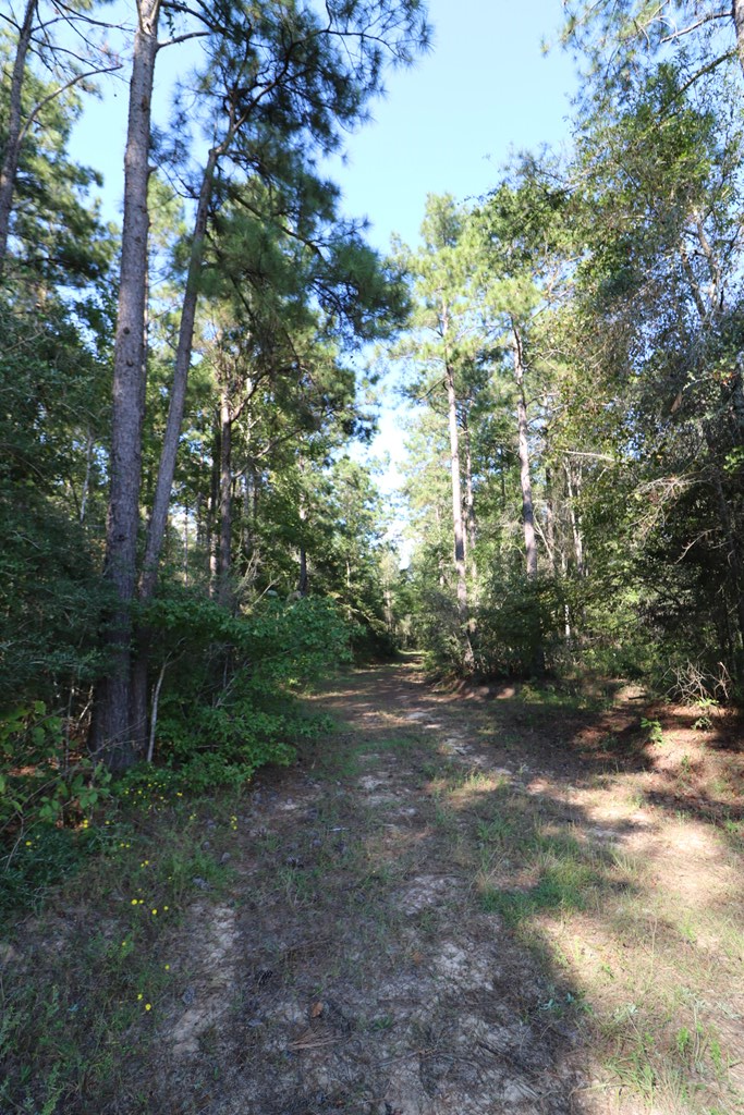 1167 Co Rd 426 Property Photo 31