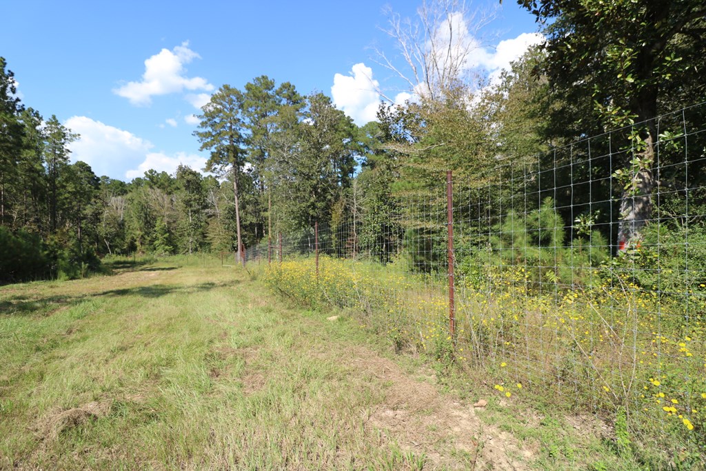 1167 Co Rd 426 Property Photo 32