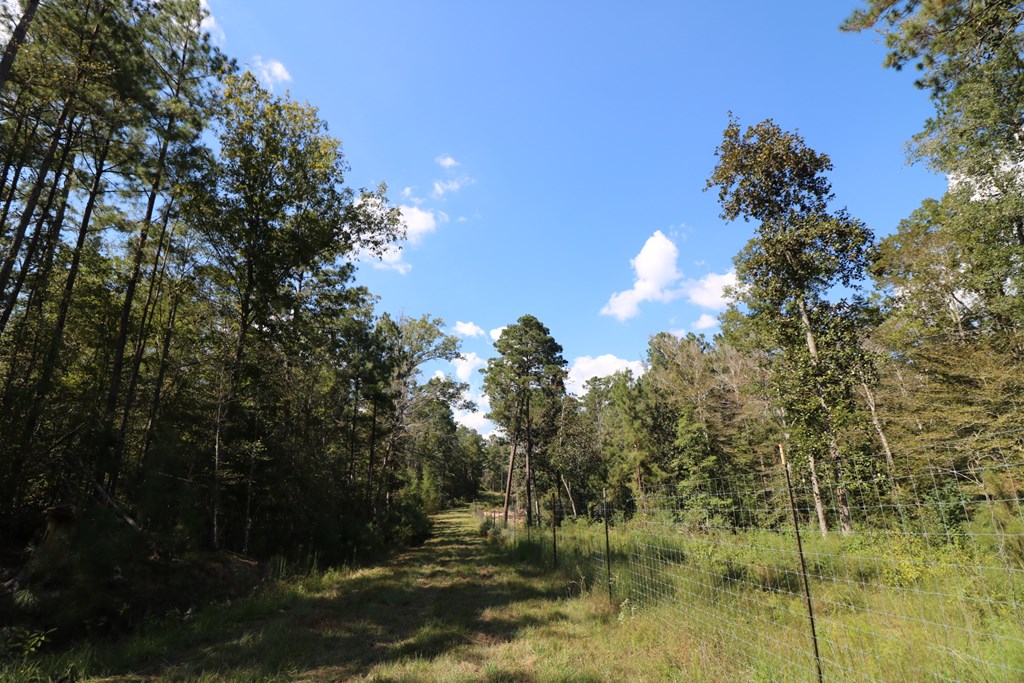 1167 Co Rd 426 Property Photo 33
