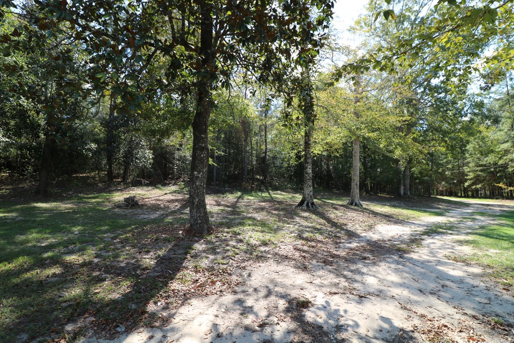 1167 Co Rd 426 Property Photo 34