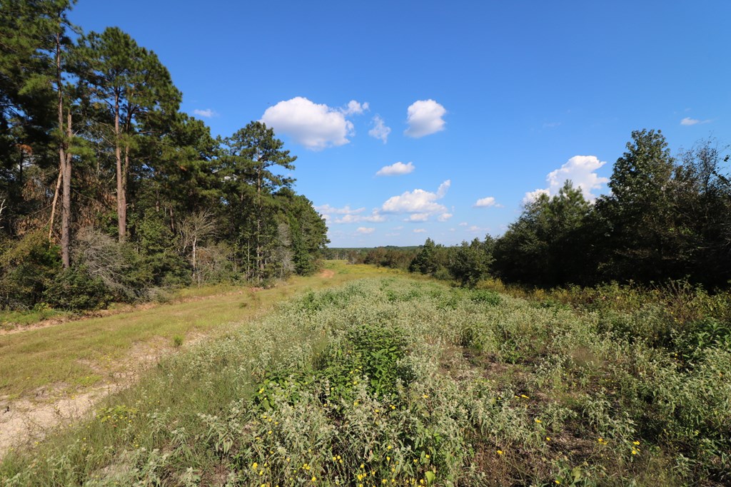 1167 Co Rd 426 Property Photo 35