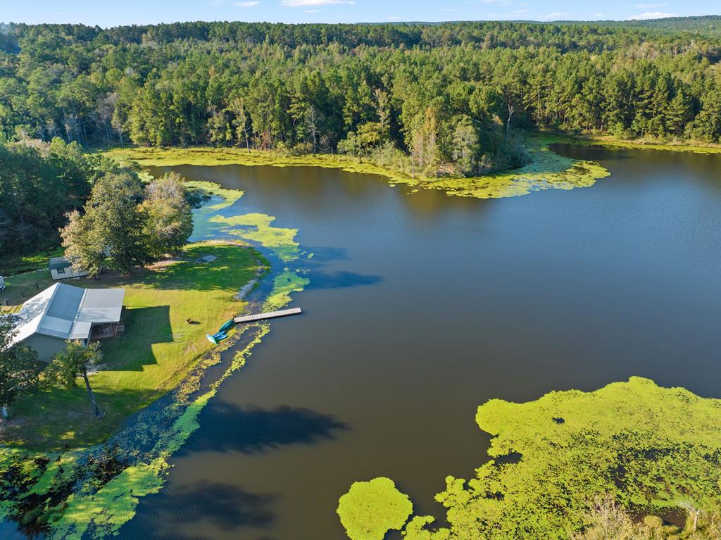 1167 Co Rd 426 Property Photo 37