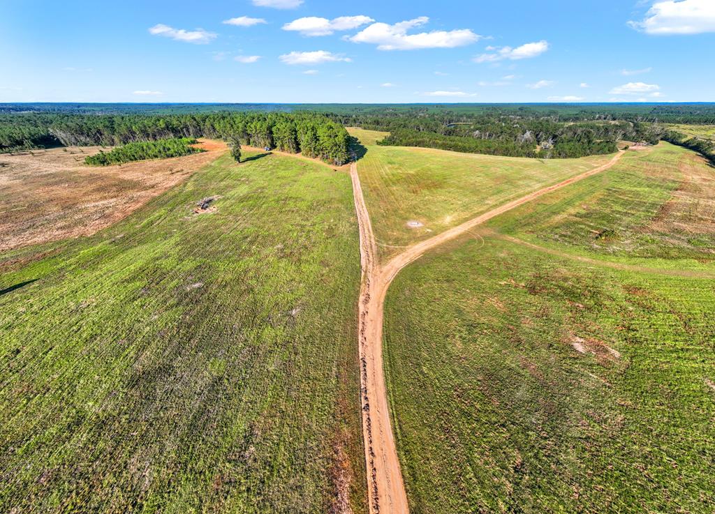 1167 Co Rd 426 Property Photo 44