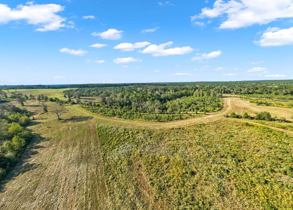 1167 Co Rd 426 Property Photo 49