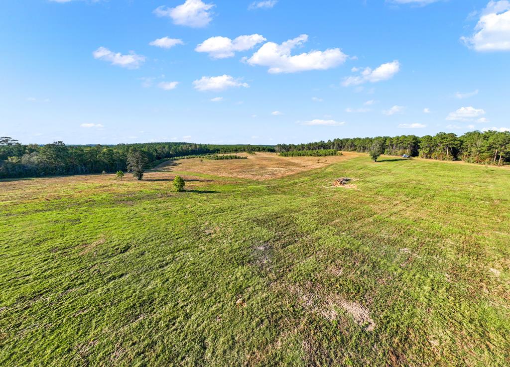 1167 Co Rd 426 Property Photo 58