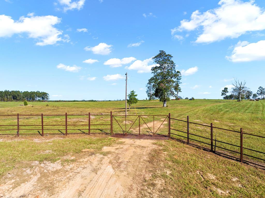 1167 Co Rd 426 Property Photo 61