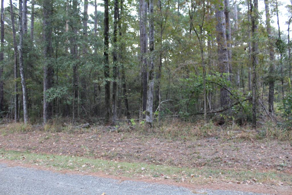 1290 Admiral Drive Property Photo 1
